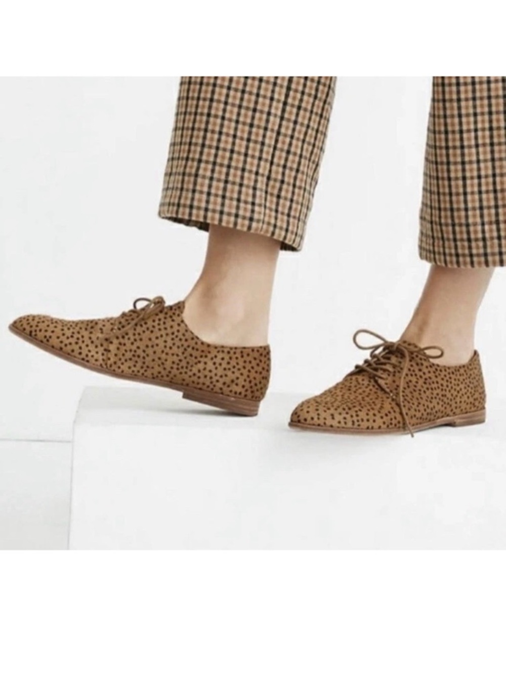 Madewell Shoes The Alex Oxford Women’s Size 8 Spot Dot Calf Hair Lace Up Flats